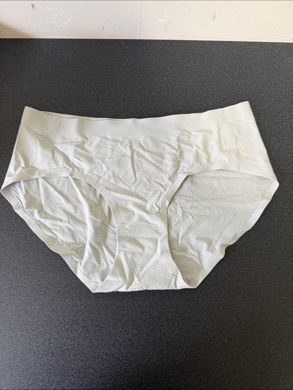 Light Gray Seamless Hipster Panty - Subtle Dot Print